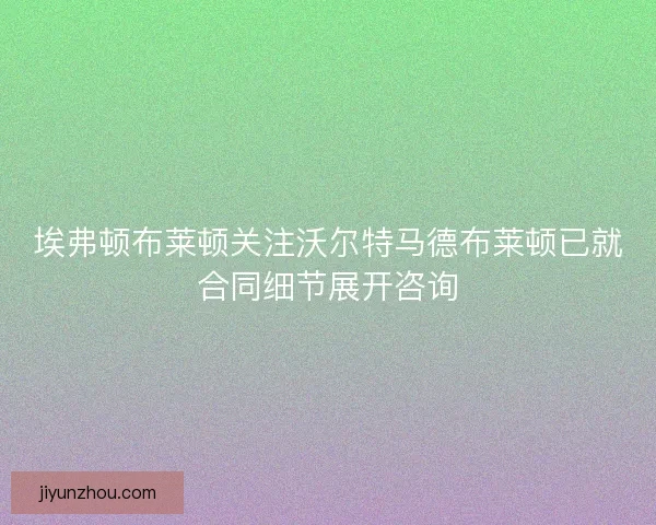 埃弗顿布莱顿关注沃尔特马德布莱顿已就合同细节展开咨询